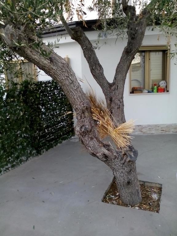 Marechiaro Villa Foce Varano Exterior foto